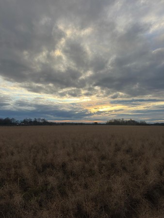 Medium property photo - Veldstraat, 6096 BJ Grathem