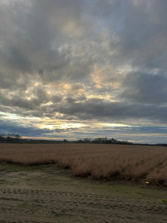 Medium property photo - Veldstraat, 6096 BJ Grathem