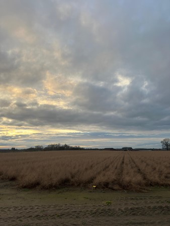 Medium property photo - Veldstraat, 6096 BJ Grathem