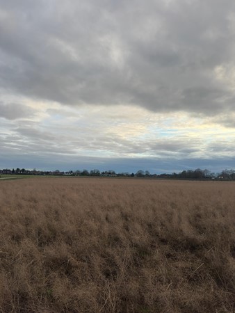 Medium property photo - Veldstraat, 6096 BJ Grathem