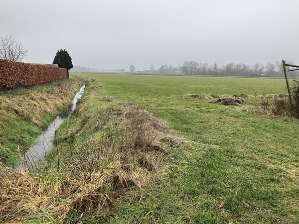 Medium property photo - Heltenbosdijk, 6006 RZ Weert