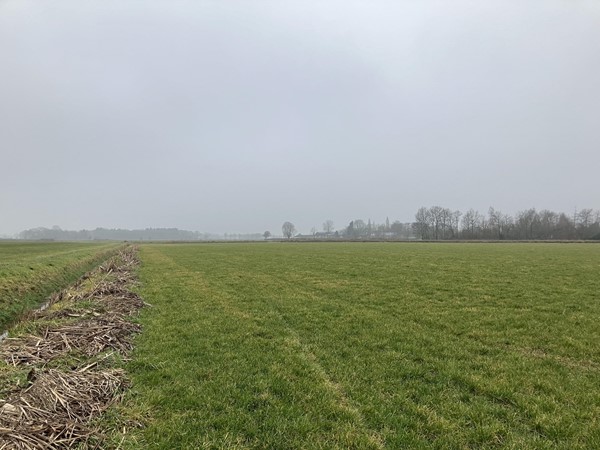 Medium property photo - Heltenbosdijk, 6006 RZ Weert