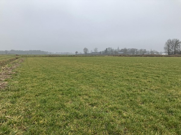 Medium property photo - Heltenbosdijk, 6006 RZ Weert