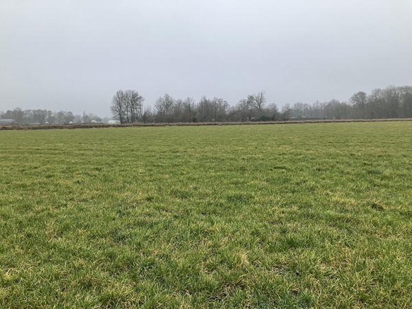 Medium property photo - Heltenbosdijk, 6006 RZ Weert