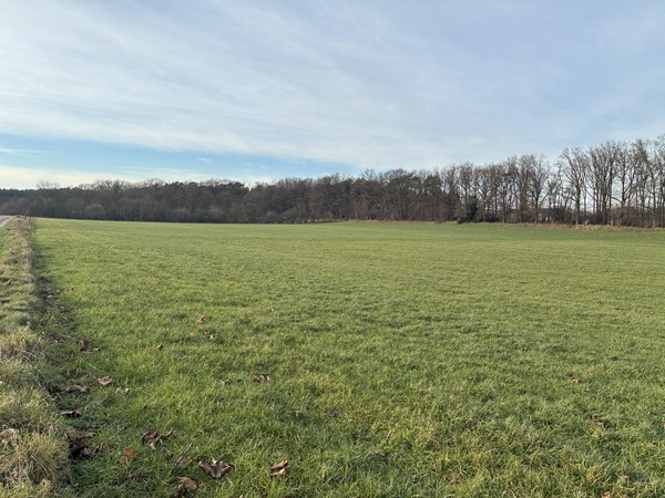 Medium property photo - Kolenhofweg, 6091 NB Leveroy