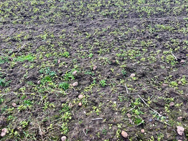 Medium property photo - Overbroekseweg, 5809 EN Leunen