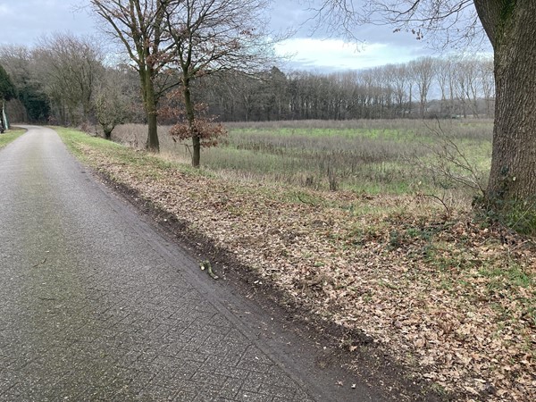 Medium property photo - Dijk, 5995 PD Kessel