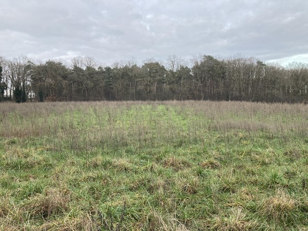 Medium property photo - Dijk, 5995 PD Kessel