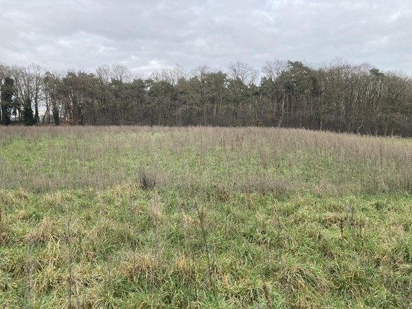 Medium property photo - Dijk, 5995 PD Kessel