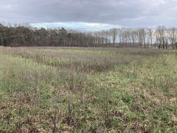 Medium property photo - Dijk, 5995 PD Kessel