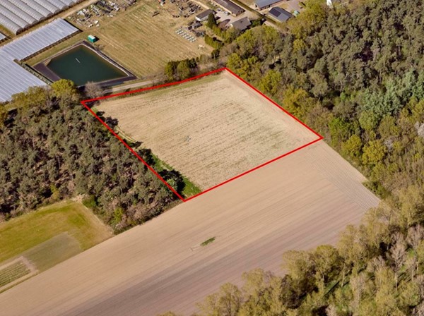 Medium property photo - Dijk, 5995 PD Kessel