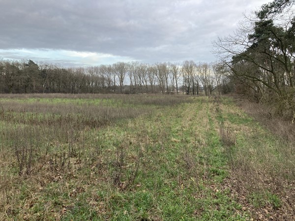 Medium property photo - Dijk, 5995 PD Kessel