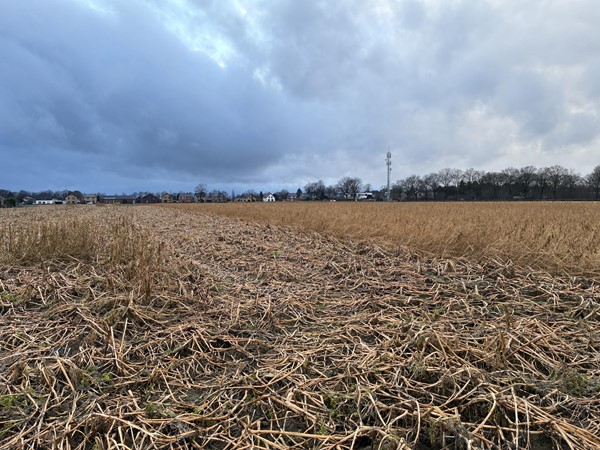 Medium property photo - Haverterstraat, 6104 AS Koningsbosch