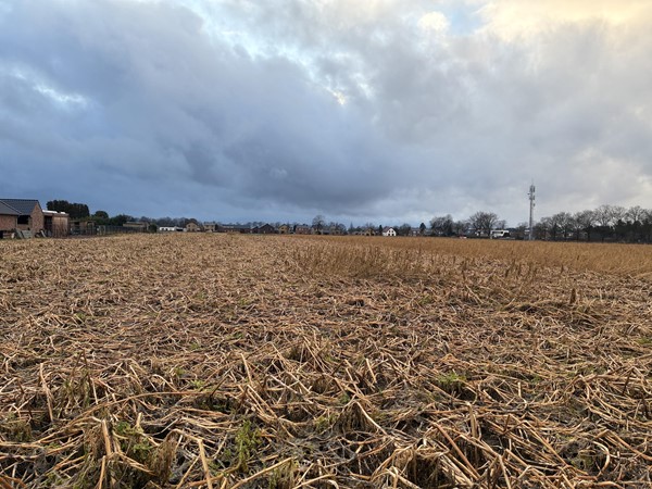 Medium property photo - Haverterstraat, 6104 AS Koningsbosch