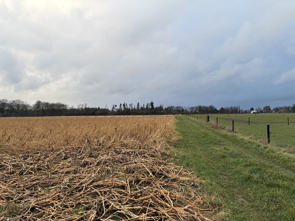 Medium property photo - Haverterstraat, 6104 AS Koningsbosch