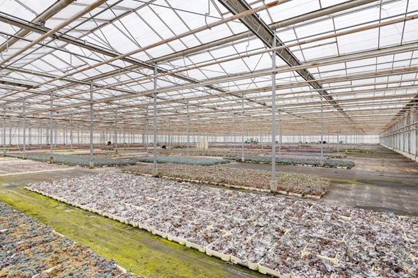 Medium property photo - Richardsweg 11, 5916 RH Venlo