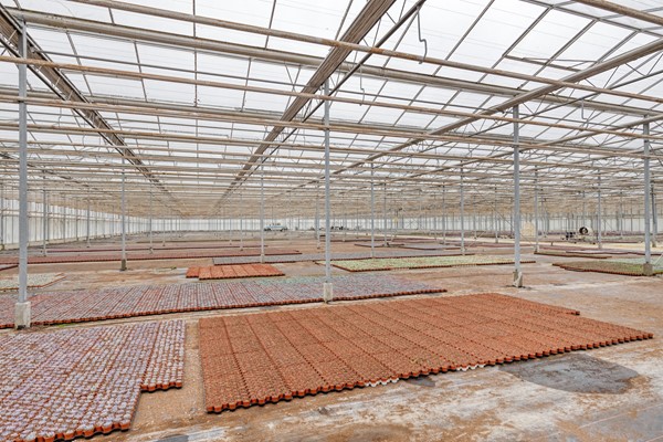 Medium property photo - Richardsweg 11, 5916 RH Venlo