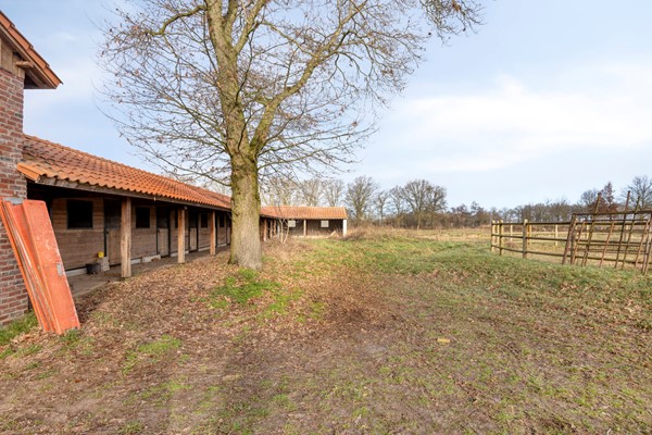 Medium property photo - Grathemerweg 6-6a, 6037 NR Kelpen-Oler