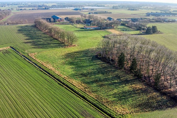 Medium property photo - Grathemerweg 6-6a, 6037 NR Kelpen-Oler