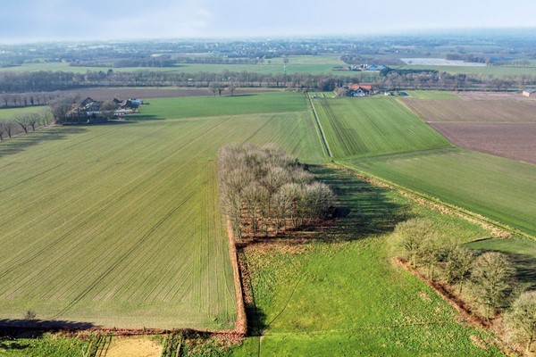 Medium property photo - Grathemerweg 6-6a, 6037 NR Kelpen-Oler