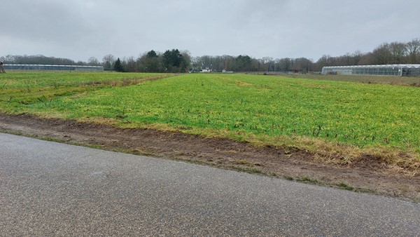 Medium property photo - Beckersweg, 5915 PB Venlo