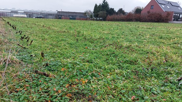 Medium property photo - Beckersweg, 5915 PB Venlo