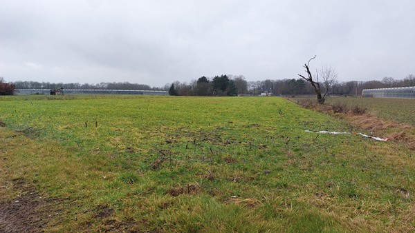 Medium property photo - Beckersweg, 5915 PB Venlo