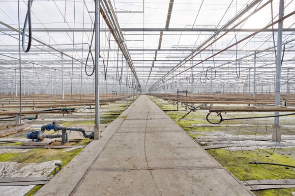 Medium property photo - Oude Rijnstraat 73a, 5916 NJ Venlo