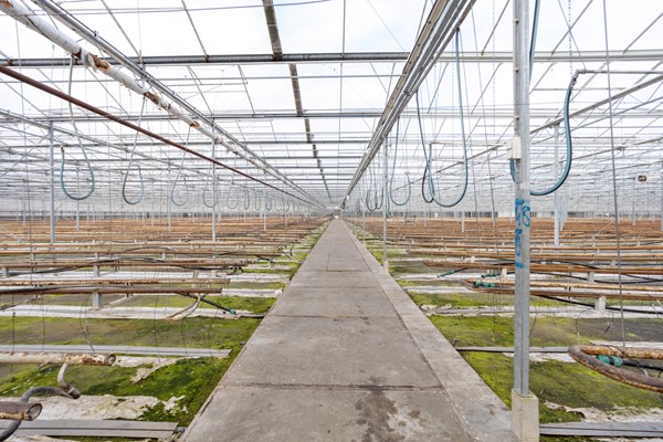 Medium property photo - Oude Rijnstraat 73a, 5916 NJ Venlo