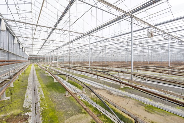 Medium property photo - Oude Rijnstraat 73a, 5916 NJ Venlo