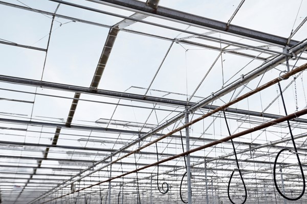 Medium property photo - Oude Rijnstraat 73a, 5916 NJ Venlo