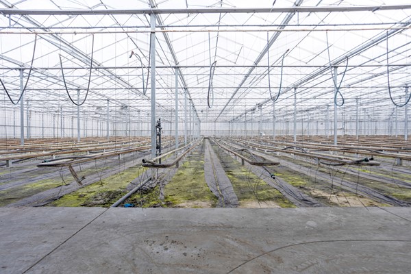 Medium property photo - Oude Rijnstraat 73a, 5916 NJ Venlo