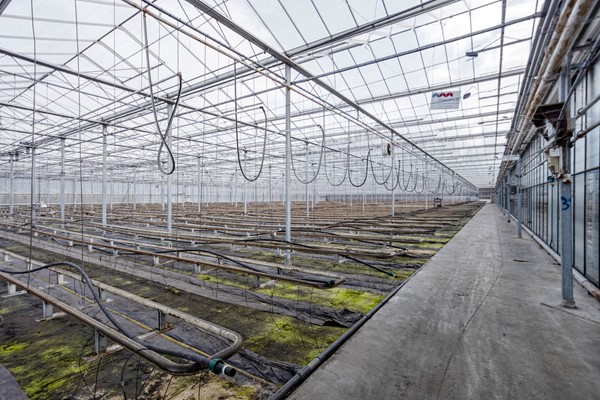 Medium property photo - Oude Rijnstraat 73a, 5916 NJ Venlo