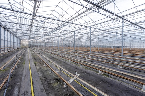 Medium property photo - Oude Rijnstraat 73a, 5916 NJ Venlo