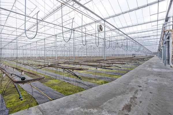 Medium property photo - Oude Rijnstraat 73a, 5916 NJ Venlo