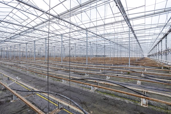 Medium property photo - Oude Rijnstraat 73a, 5916 NJ Venlo