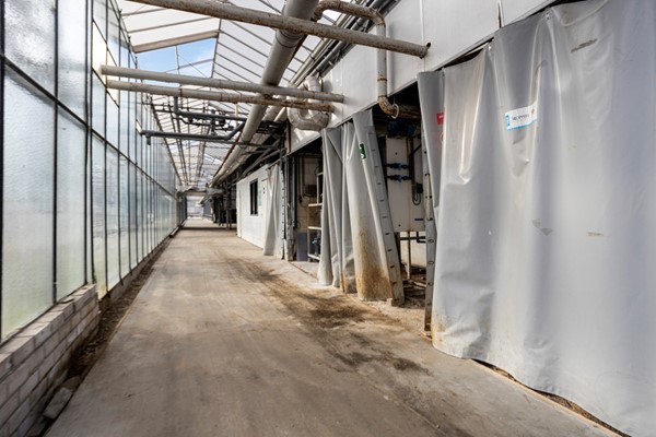 Medium property photo - Oude Rijnstraat 73a, 5916 NJ Venlo