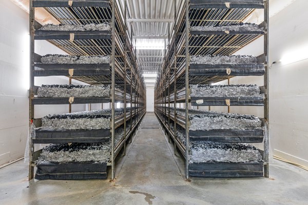 Medium property photo - Mgr Aertsstraat 49, 5866 BG Swolgen