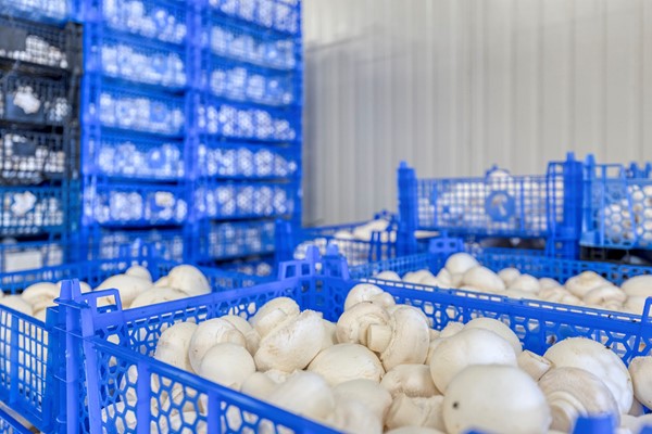 Medium property photo - Mgr Aertsstraat 49, 5866 BG Swolgen