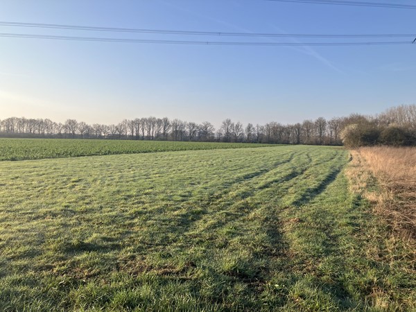 Medium property photo - Houtweg Noord, 6101 XZ Echt