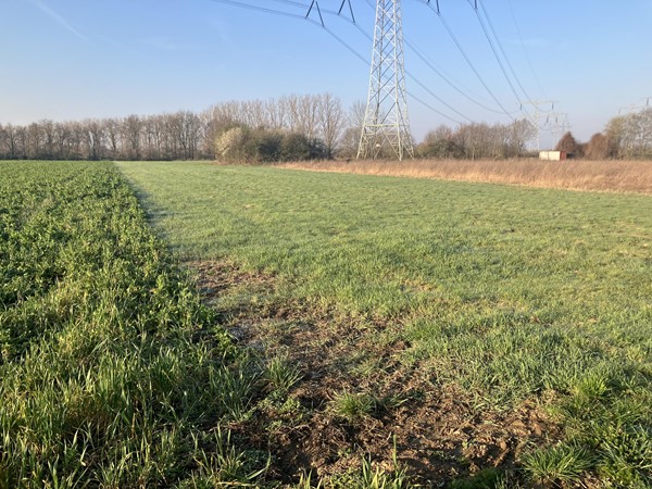 Medium property photo - Houtweg Noord, 6101 XZ Echt