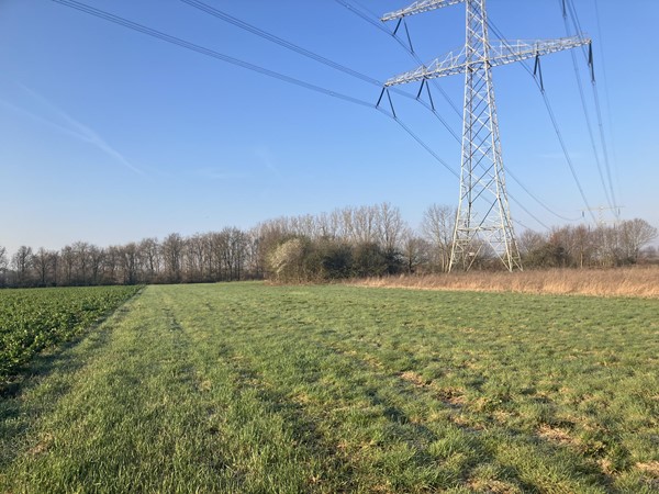 Medium property photo - Houtweg Noord, 6101 XZ Echt