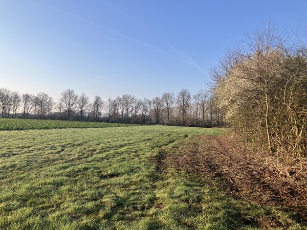 Medium property photo - Houtweg Noord, 6101 XZ Echt