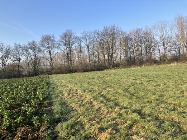 Medium property photo - Houtweg Noord, 6101 XZ Echt