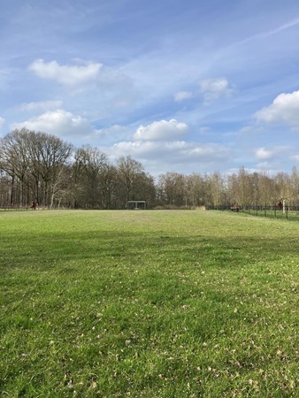 Medium property photo - Lage Kuilen, 6031 PJ Nederweert