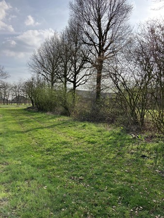 Medium property photo - Lage Kuilen, 6031 PJ Nederweert