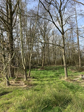 Medium property photo - Lage Kuilen, 6031 PJ Nederweert