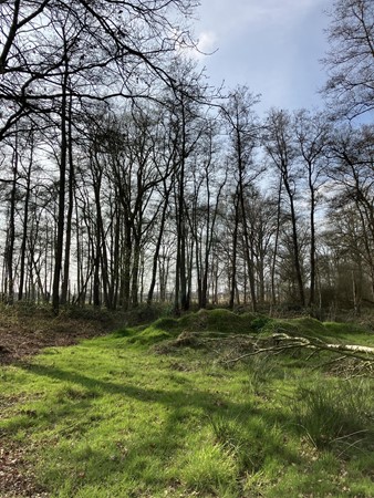 Medium property photo - Lage Kuilen, 6031 PJ Nederweert