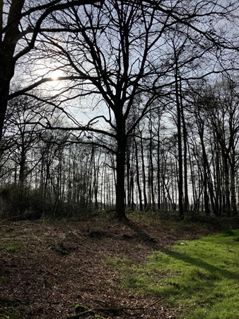 Medium property photo - Lage Kuilen, 6031 PJ Nederweert