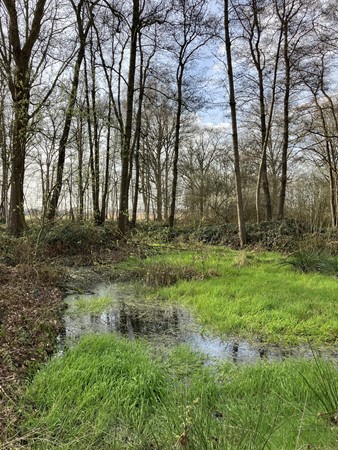 Medium property photo - Lage Kuilen, 6031 PJ Nederweert